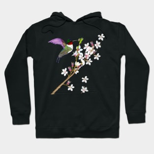 Bird Humming bird extracting nectar from the First cherry blossoms of spring. Japanese Sakura Hoodie